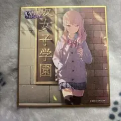 プロセカ　色紙　47c 瑞希