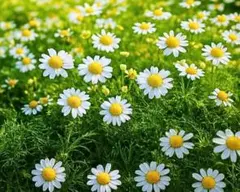 i様 リクエスト 2点 まとめ商品