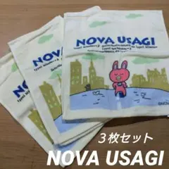 【平成レトロ】NOVAうさぎ フェイスタオル ３枚セット