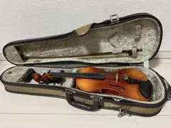 Item thumbnail for item 3cf5990b-42f8-489f-a2ff-78265decb585