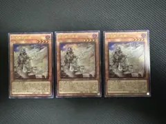 遊戯王　白き竜の落胤　ウルトラレア　3枚セット