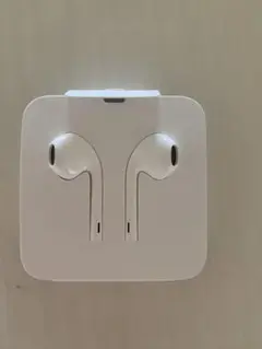 iPhone純正イヤホン ケース付き