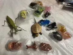 生き物大図鑑セット