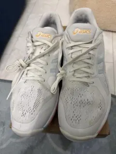 Item thumbnail for item 36cbcbc0-9a27-40b5-9767-28f16065587f