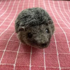 Item thumbnail for item 926e82de-5e5d-4d70-9ea4-34be3fe8a990