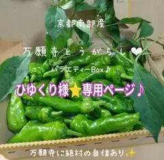 青パパイヤ20kg！購入後に即収穫＆発送 状態ヨシ - メルカリ
