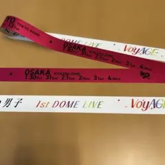 なにわ男子 VoyAGE 東京ドーム 銀テープ ピンク 道枝 フル 1本