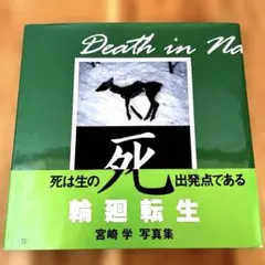 2025年最新】宮崎学 死の人気アイテム - メルカリ