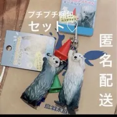 2026年最新】鳥羽水族館 メイキラの人気アイテム - メルカリ