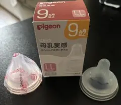 Item thumbnail for item 95dc4495-1052-4fb9-b43f-50727fd89406