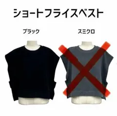 【値下げ】新品未使用【ぞうねこちゃんねる】ショートフライスベスト ブラック