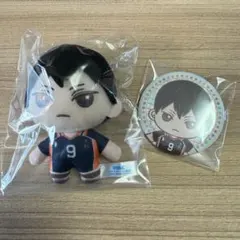 ハイキュー　セガラッキーくじ　影山飛雄　B賞ぬいぐるみマスコット　E賞缶バッジ