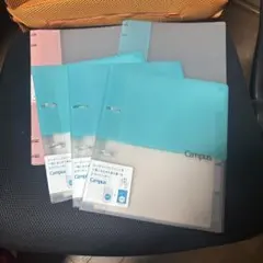 Item thumbnail for item 40c4cbba-e208-4fca-844d-224371e78e91