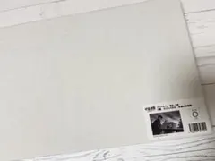 呪術廻戦 ファンパレくじ 懐玉・玉折 S賞 ライトパネル 夕焼けの双影 伏黒甚爾