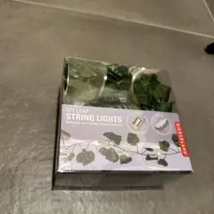 Item thumbnail for item 4b5d0179-f2cd-4d36-a954-3517d8ae47b3