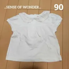 センスオブワンダー カットソー 90 衿付き シャツ ホワイト レース 半袖