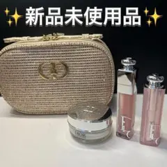 値下げ交渉お待ちしてます！コメント歓迎 様専用ディオール ホリデー