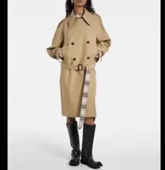 Item thumbnail for item e2713893-1e08-414a-9a0e-6e2df917bb76