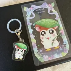 新品 とっとこハム太郎 アンブレラマーカー クリアカード のっぽくん セット