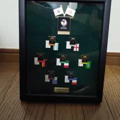 2002 　FIFA World Cup　 記念ピンバッジ　額装セット　日韓W杯のサムネイル