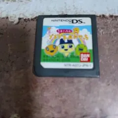 たまごっちのプチプチおみせっち DSソフト