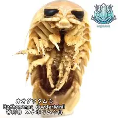 恐竜犬様 リクエスト 2点 まとめ商品