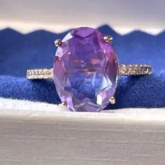 ミニピンLOVE♥️プロフ必読願います様 リクエスト 2点 まとめ商品