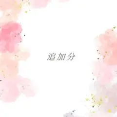 ☆専用☆追加分