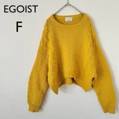 EGOIST マスタード 編み込みニットセーター F バルーンスリーブ　リブ編み