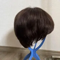 人毛100% ショート ボブウィッグのサムネイル