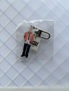 セブチ SEVENTEEN holiday アクキー スングァン