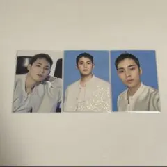 seventeen follow again ミンギュ　コンサートトレカ