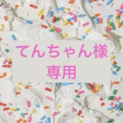 てんちゃん様専用ページ