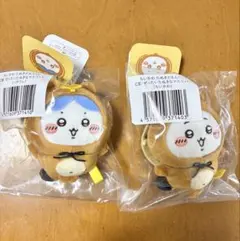 ちいかわ たぬきだもんくじC賞 ちいかわ ハチワレ