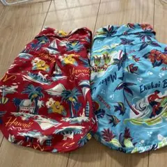 Item thumbnail for item e84b9e5f-c5a5-41cf-9e1d-31d463469d69