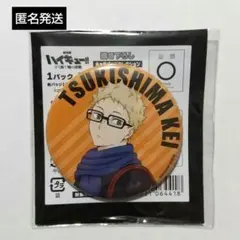 〔 月島蛍 〕ハイキュー 書き下ろし キャラバッジコレクション ゴミ捨て場の決戦