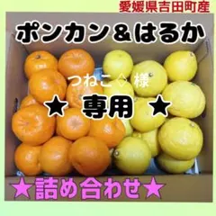 ✩つねこ♢﻿様✩専用 ポンカンMIX4.5キロ&はるか4.5キロ