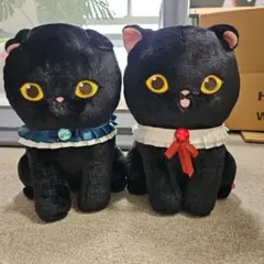 モフサンド　黒猫
