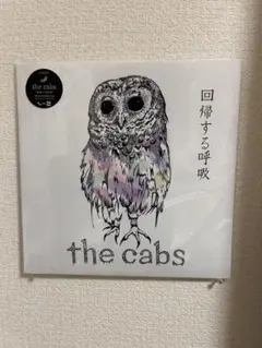廃盤 the cabs「一番はじめの出来事」「回帰する呼吸」首藤義勝 CD