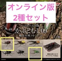 いきもの大図鑑 かぶとむし09(オンライン版、2種セット) カブトハナムグリ他