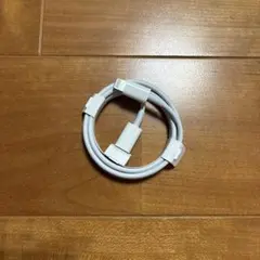 Apple 純正Lightningケーブル Type C