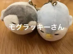 Item thumbnail for item e5cef5fc-2929-4150-b073-e44c7f99f5e1