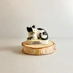 2026年最新】フェーブ 陶器の人気アイテム - メルカリ