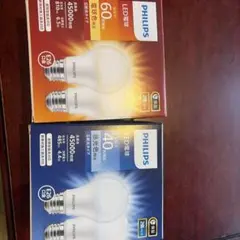 蛍光灯・電球 PHILIPS Philips（フィリップス） LED蛍光灯 マスターLEDチューブ 片側給電 直