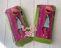 女の欲望レギンス2足　150デニール L-LL