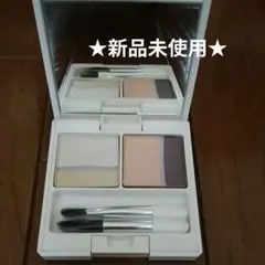 ★最終価格★新品未使用★CHICCA ／アイシャドウ(限定色)★のサムネイル