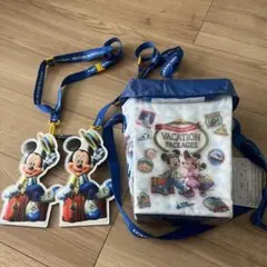 東京ディズニーリゾート バケーションパッケージバッグ