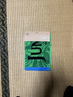 Item thumbnail for item 648a75f7-fcf8-4adc-b831-8c81818ba4db