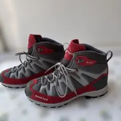 Item thumbnail for item 53c6075c-bd3d-4ad4-9f48-9f13e0bd5250