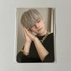 treasure ナイトガーデン　ココネンネ　トレカ　ヨシ